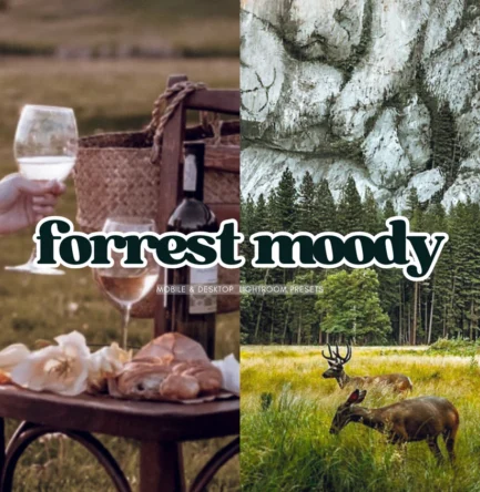 Forrest moody Lightroom Presets