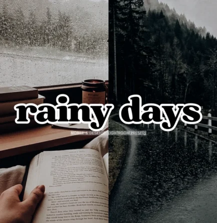 RAINY DAY Lightroom Presets, 10 Mobile & Desktop Presets, Dark Academia, Autumn Presets, Fall Aesthetic, Dark Moody Gothic, Grainy Film