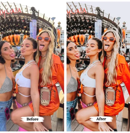 Coachella Lightroom Presets - Image 6