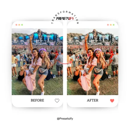 Festival Lightroom Presets - Image 2