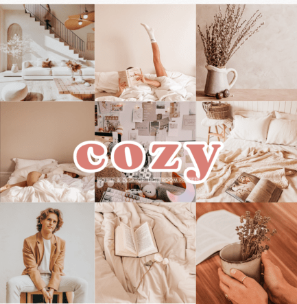 cozylightroompresets