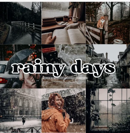 RAINY DAY Lightroom Presets, 10 Mobile & Desktop Presets, Dark Academia, Autumn Presets, Fall Aesthetic, Dark Moody Gothic, Grainy Film