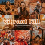 Vibrant AUTUMN Lightroom Presets