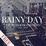 Free Lightroom Presets Rainy Day